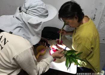 台南東區再爆1例登革熱 疾管署：把握颱風後一周防疫時效