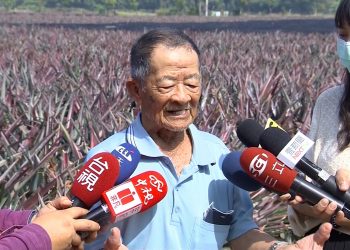 假冒總統府名義訂鳳梨 大樹鳳梨伯險遭騙