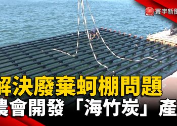 解決廢棄蚵棚問題 農會開發「海竹炭」產品