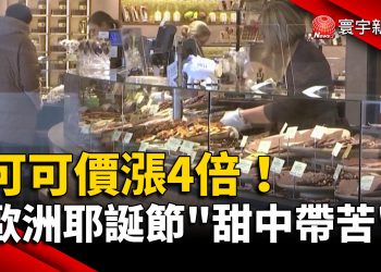 中華隊奪世界冠軍！國際賽睽違14年打敗日本